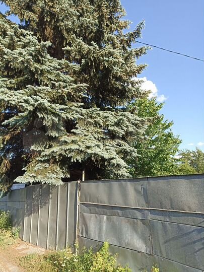 Дача 20 м² на участке 6 сот.