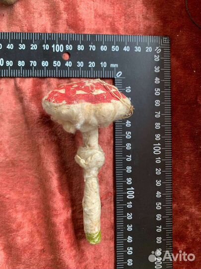 Ватные елочные игрушки Мухамор СССР