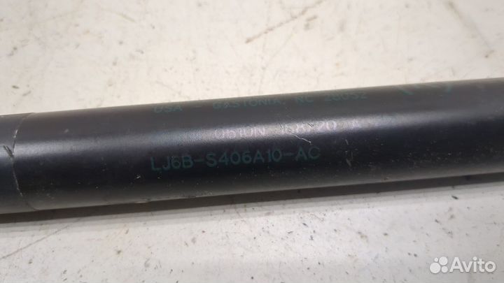 Амортизатор крышки багажника Ford Escape 2020, 2020