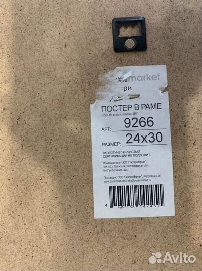 Рамка с картиной 24 х 30 Исаакиевский собор