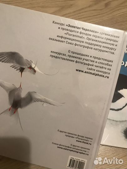 Лучшие фотографии дикой природы фотоальбом