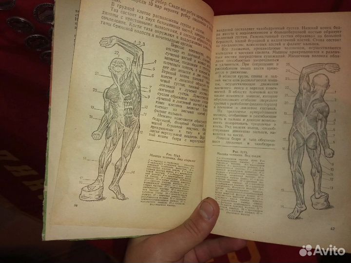 Мотоспорт досааф СССР 1975 Сборник