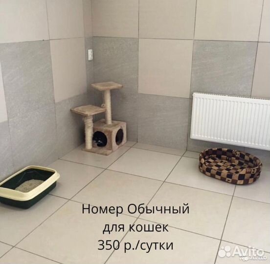 Гостиница для животных
