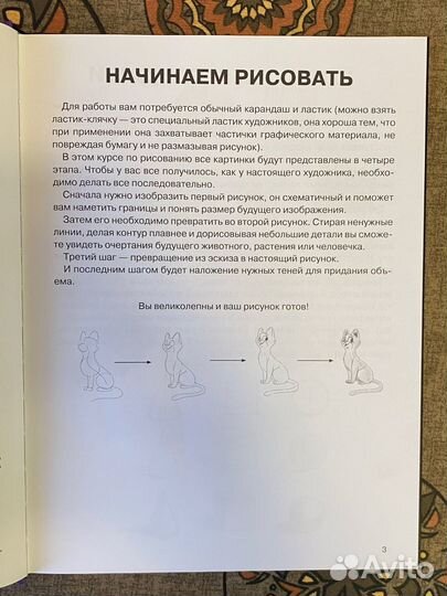 Супер курс по рисованию котики и их друзья