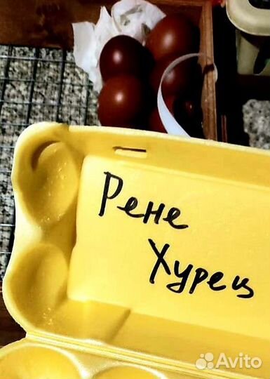 Петухи Маран