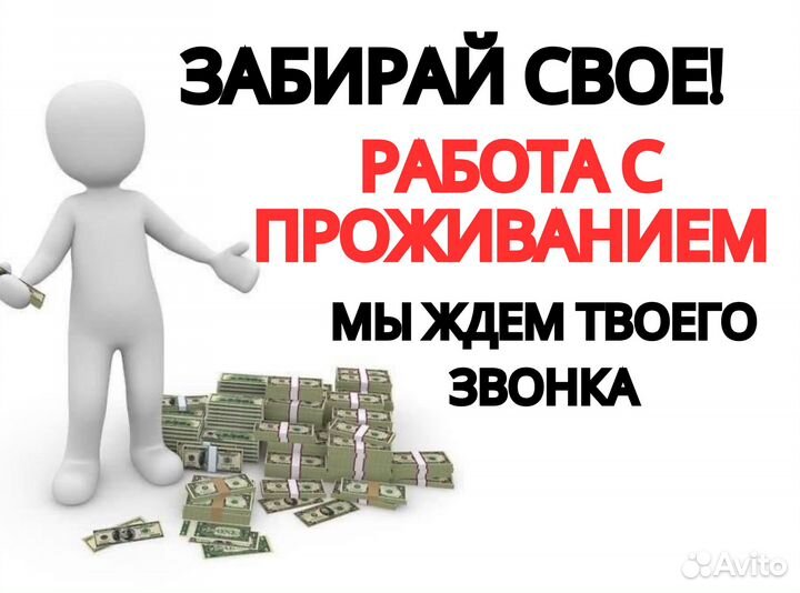 Работа с проживанием и питанием пф0302