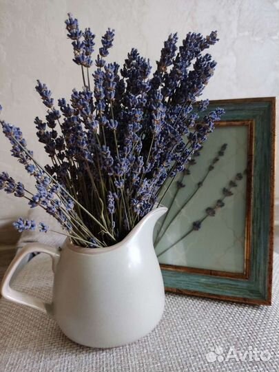 Лаванда цвета неба