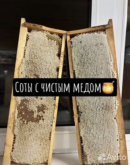 Мед натуральный