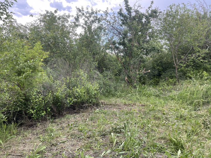 Участок 4,6 сот. (СНТ, ДНП)