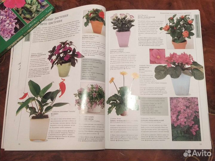 Ланкастер Комнатн.растения, Севостьянова Справ-к