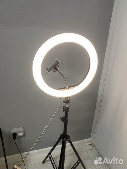Кольцевая лампа