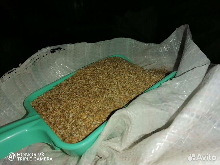 Ракушка морская кормовая