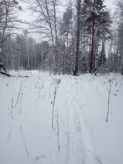 Участок 15 сот. (СНТ, ДНП)