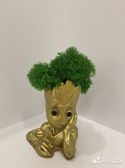 Грут со мхом