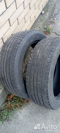 Maxxis Pragmatra MP10 205/55 R16 91V