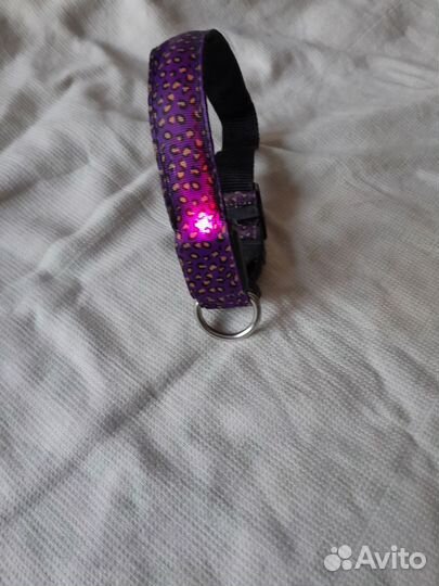 Светодиодный ошейник