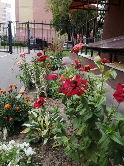 2-к. квартира, 69 м², 5/9 эт.