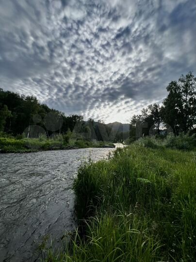 Участок 12 сот. (СНТ, ДНП)