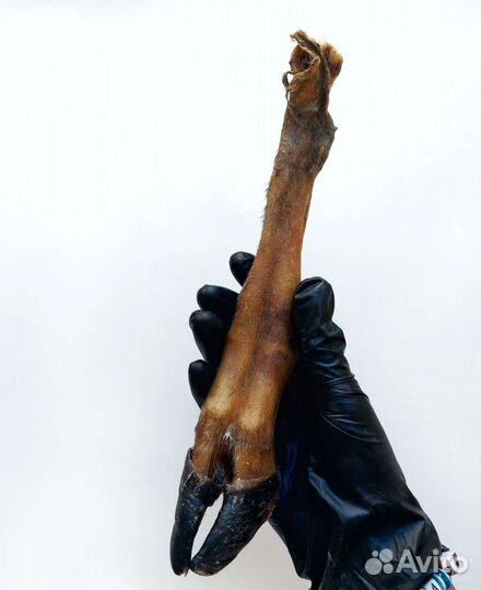 Лакомство для собак. Ножки бараньи