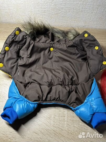 Одежда для собак