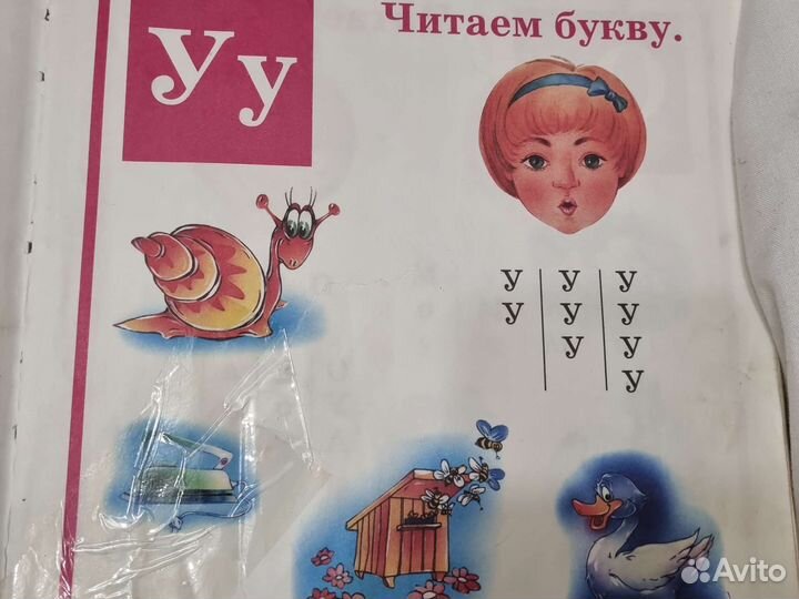 Букварь жуковой