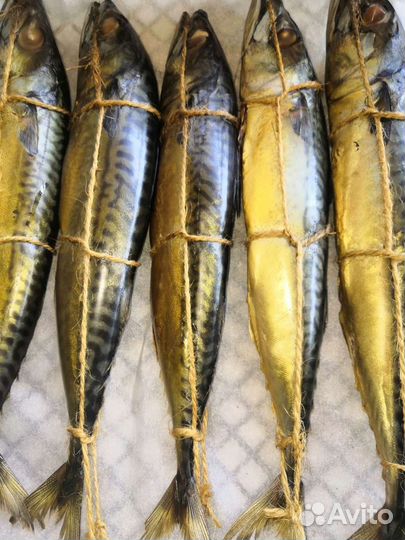 Продам рыбу, мясо, колбасу собственного копчения