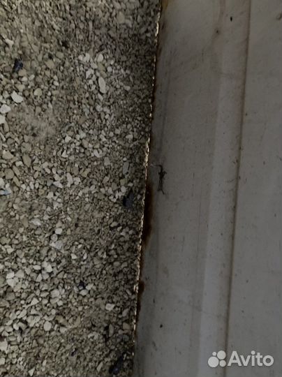 Дверь ford transit