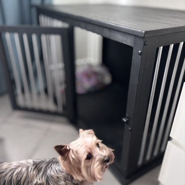 Вольер для собак