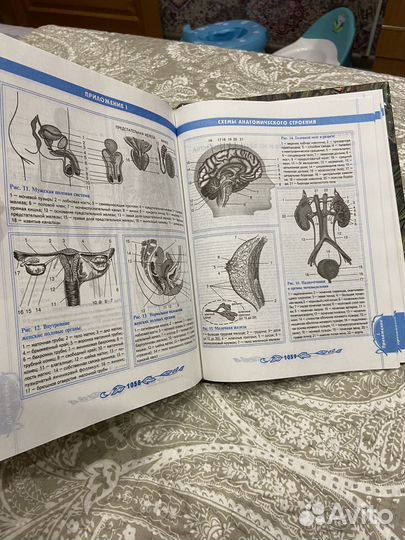 Энциклопедия народной медицины