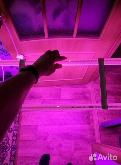 Светильник для растений подвесной (фито лампа)