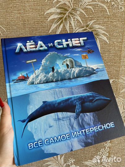 Книги про животных Красная книга России Хищники