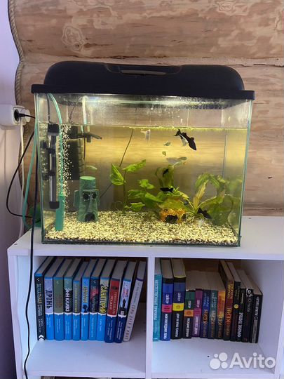 Аквариум