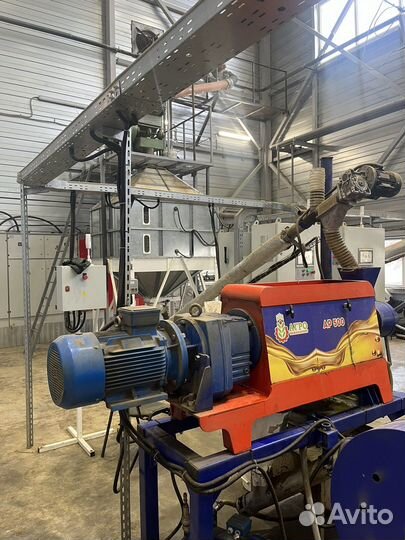 Фуз рапсовый