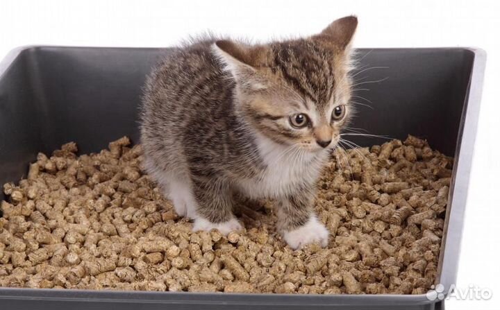 Наполнитель древесный для туалета