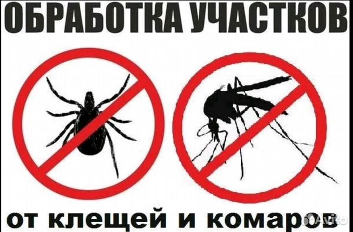 Уничтoжениe таpaкaнов, клопов, мышей, насекомых