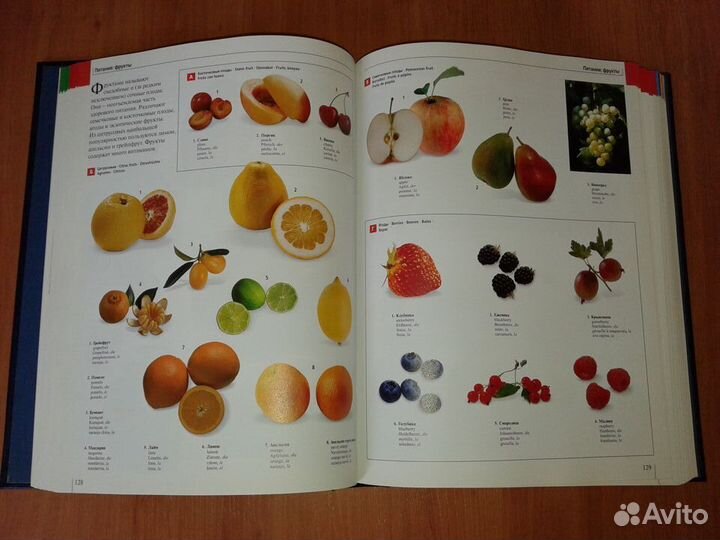 Большой иллюстрированный словарь