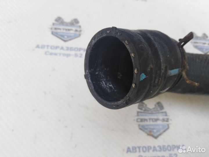 Патрубок радиатора нижний Renault Koleos HY