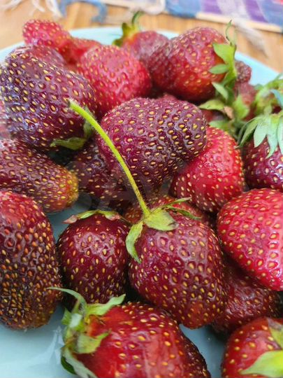 Дача 80 м² на участке 6,3 сот.