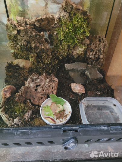 Террариум Exo terra