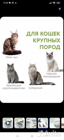 Лоток для кошек большой