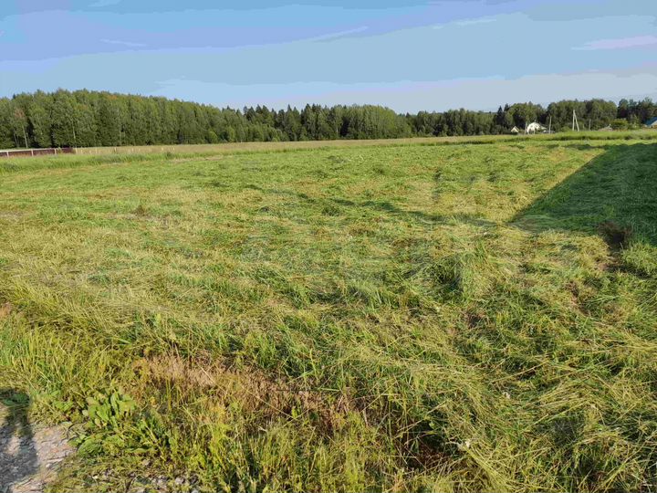 Участок 15 сот. (ИЖС)