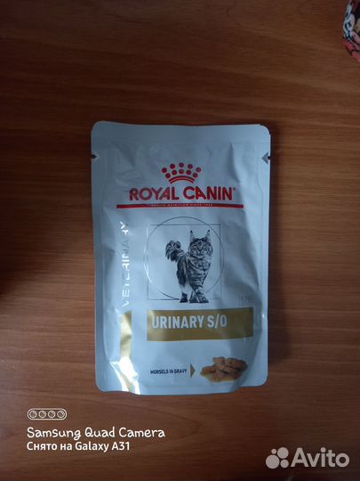Влажный корм для кошек royal canin urinary