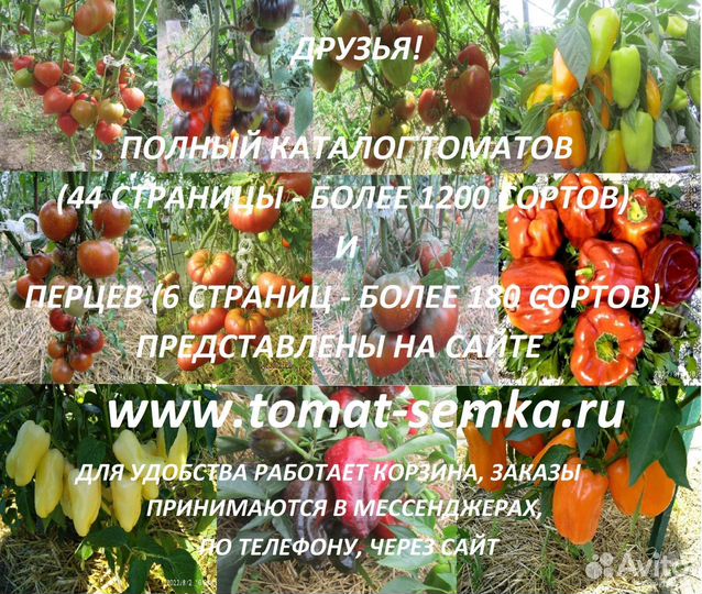 Семена сортовых томатов и перцев от коллекционера