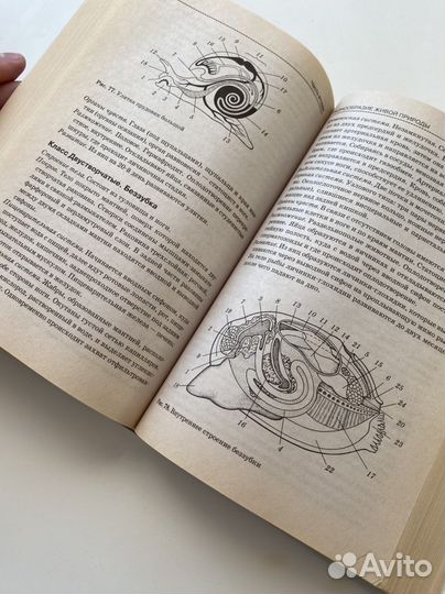 Биология Богданова