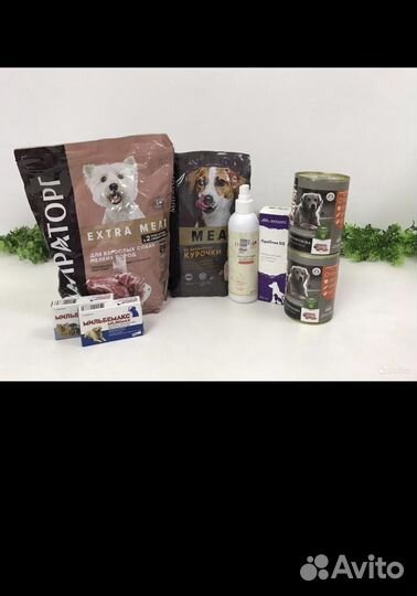 Для взрослых собак мелких пород