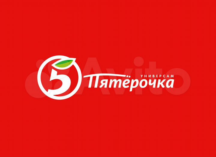 Готовый арендный бизнес магазин Пятёрочка, 580 м²
