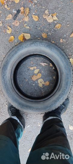 Nokian Tyres Hakkapeliitta 7 195/65 R15