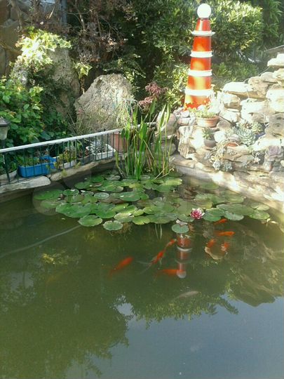 Комната 15 м² в 8-к., 2/2 эт.