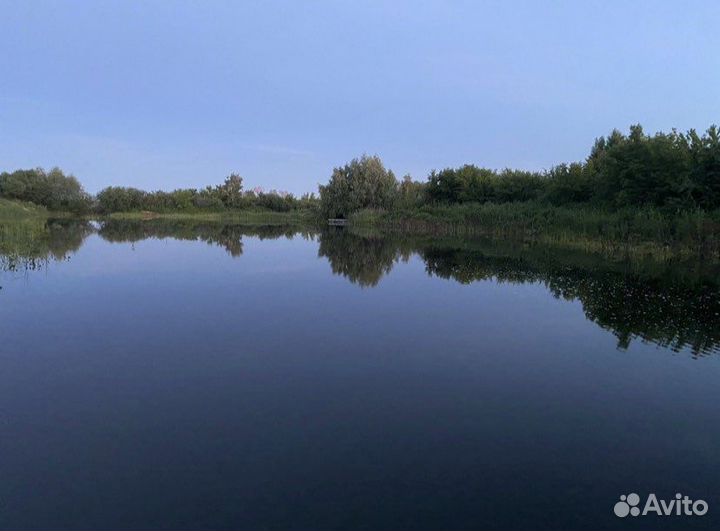 Аренда беседки и рыбалка