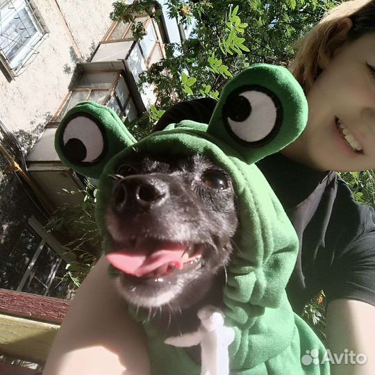 По уходу за животными